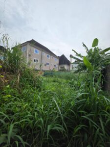 primed 465sqm residential plot in an estate x7h7ua3otp4maxtczu8b